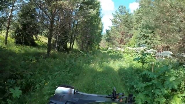 Заброшенное кладбище.