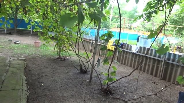 Бабушка Люба отвечает на вопросы. смотреть онлайн