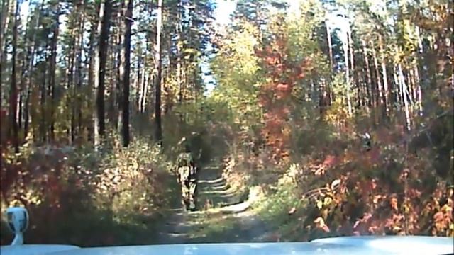 военные действия на мирной звездной..wmv смотреть онлайн