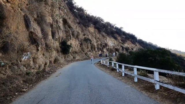 пошли в хайк смотреть на надпись Hollywood смотреть онлайн