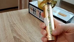 Совсем не фонит. Обзор. YS-63 караоке микрофон-колонка.