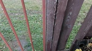Деревянный двойной забор через 5 лет. Одна покраска.