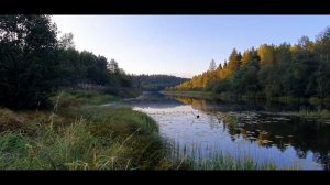ВОЛОГОДСКАЯ ОБЛАСТЬ. РЕКА ВОЖЕГА.