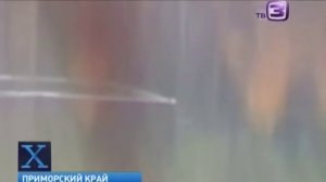 Русское Несси в озере Приморья