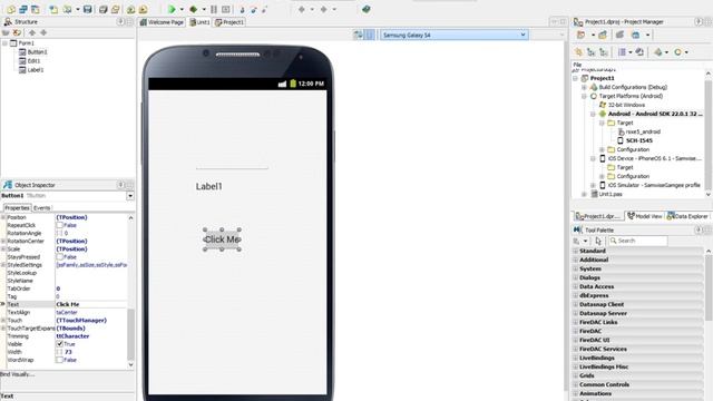 Oct 15, 6am - CodeRage 8 Delphi - Introduction to the FM Application Platform
