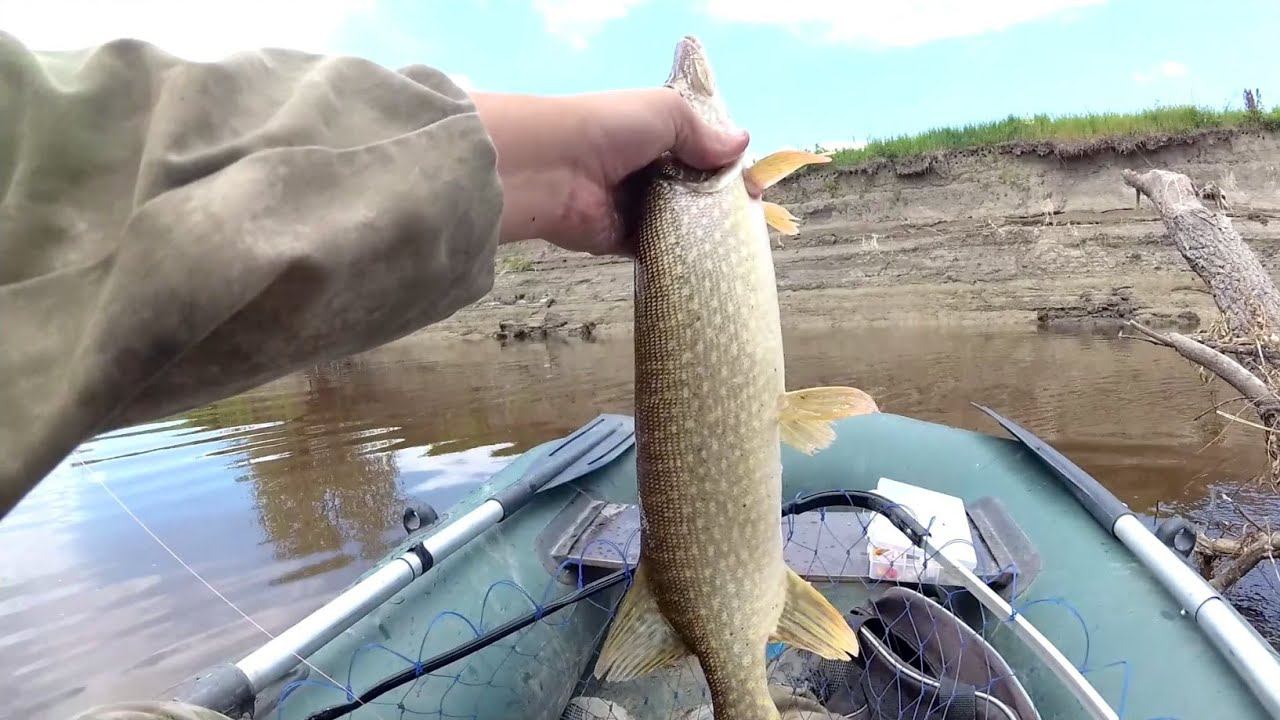 Рыбалка на спиннинг. Щука на джиг. первая рыбалка удалась. Река Омь. Рыбалка 2020. смотреть онлайн
