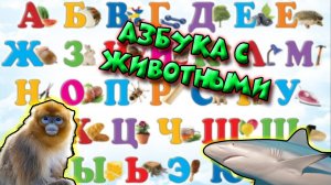 Азбука и животными