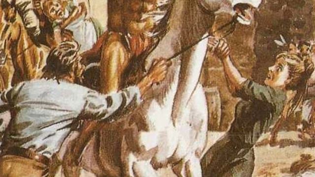 Исчезнувшие племена(кайюсы)
