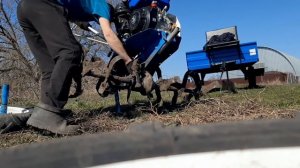 продолжаем обрабатывать поле мотоблоком нева