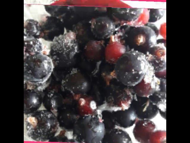 КЛУБНИЧНО-СМОРОДИНОВЫЙ КОКТЕЙЛЬ#клубничныйкоктейль#клубника#смородина#рецепты