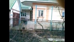 Осеняя обработка сада хелатом меди
