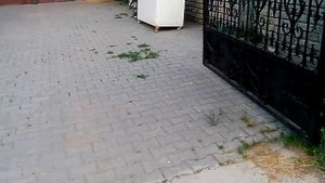 Модульное пластиковое покрытие