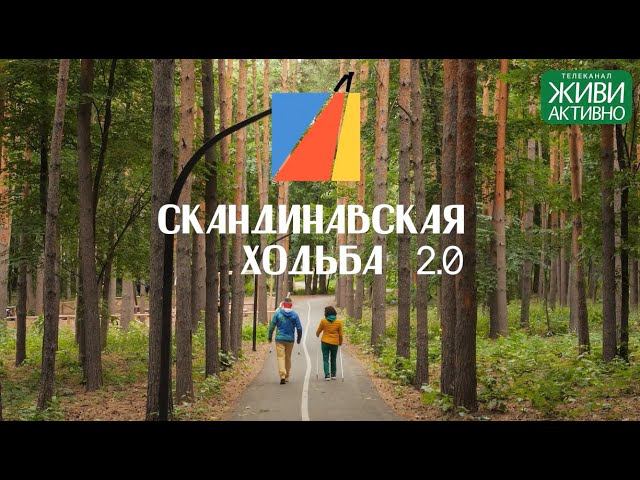 Скандинавская ходьба 2.0 с телеканалом Живи Активно. Занятие 3