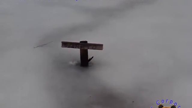 С наступлением весны и с наступающим весенним праздником смотреть онлайн