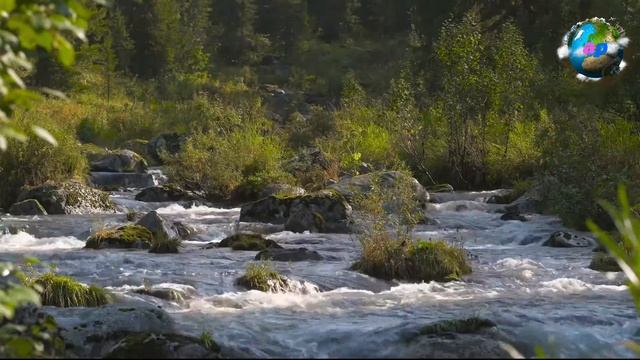 ?? ?? Россия. Река Нижняя Буйба, Красноярский край смотреть онлайн