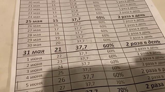 Вывод гусят / ВЫВОД 100%