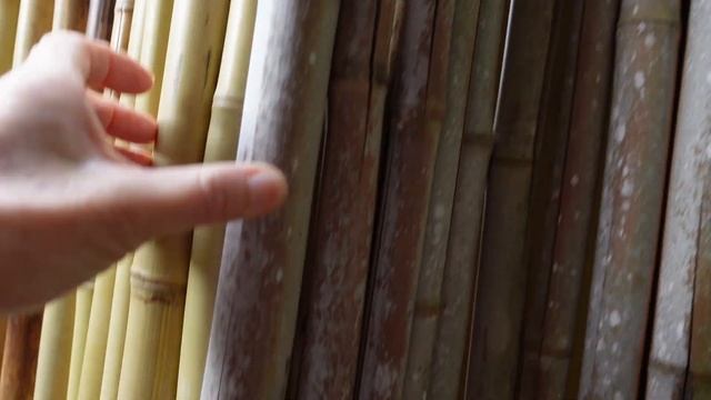 Landscaping with Bamboo Fence // Growing Tropical ?? смотреть онлайн