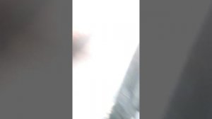 Экспресс обзор Вологодского вездехода Черепаха?  после первого пробного заезда..