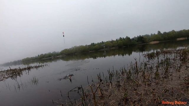 РЫБАЛКА НА РЕКЕ ВОЛХОВ.ЛОВЛЯ СОПЫ(СИНЦА) НА ПОПЛАВОЧНУЮ УДОЧКУ.