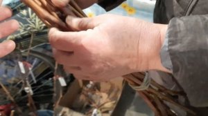 Продажа черенков и саженцев Винограда 2 октября 2022г