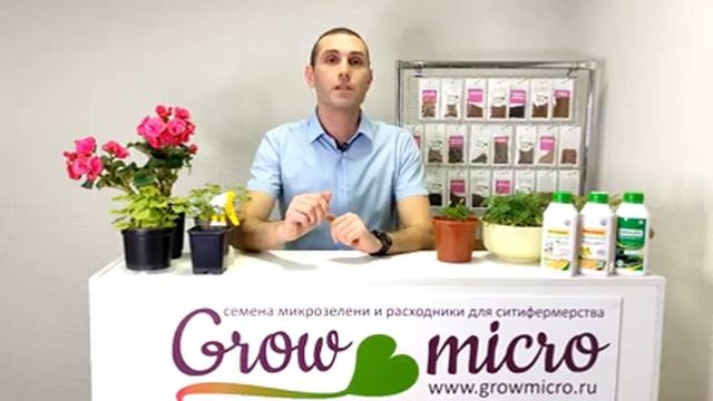 СЪЕДОБНЫЕ ЦВЕТЫ ВЫРАСТИТЬ ДОМА ПОЛЕЗНУЮ КРАСОТУ ЛЕГКО | 4 ЛЕКЦИЯ | АКАДЕМИЯ ЭКОДАЧНИКА