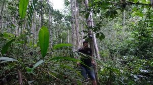 PRIMITIVE SKILLS; Build Stone House - BUILD LOG CABIN with many stones in the mountain
