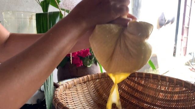 #5 Harvest corn, cook corn milk and Vietnamese corn pudding | CHÈ BẮP SỮA BẮP ngon