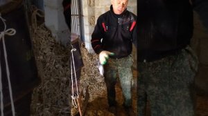 измельчитель соломы.силоса своими руками 2 серия