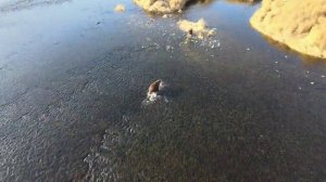 Камчатка. Река Левая Озерная.