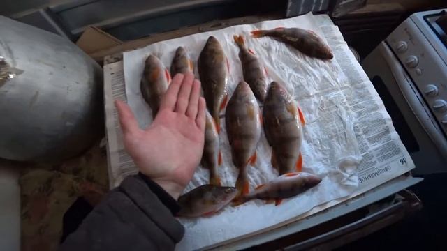 Рецепт окуня горячего копчения в коптильне | Домашний рецепт копченого окуня | В гостях у Владимира