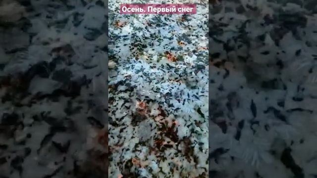 Осень. Первый снег смотреть онлайн