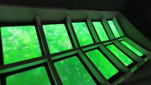 Озеро БАЙКАЛ. Посёлок ЛИСТВЯНКА. 1 часть. Дно Байкала. Нерпинарий. Прогулки по озеру.