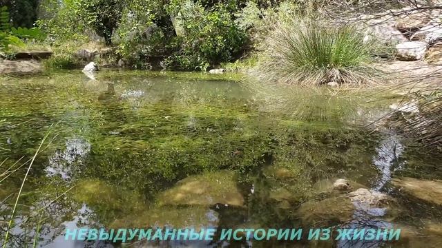 ?Чужое свадебное платье?Истории из жизни?Аудио рассказ?Жизненные истории