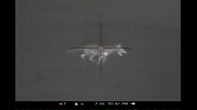 Coyote No. 10 Pulsar APEX XD75A Thermal Scope Hard Charging Coyote смотреть онлайн