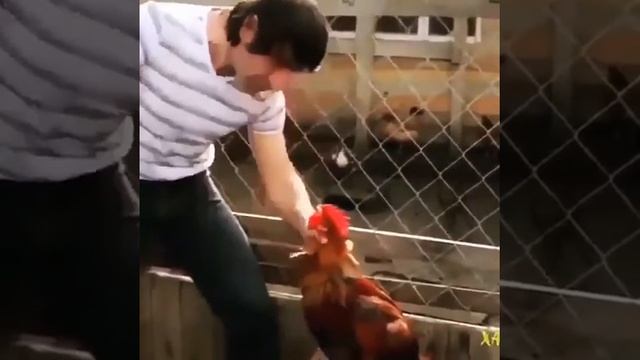 Установка будильника смотреть онлайн