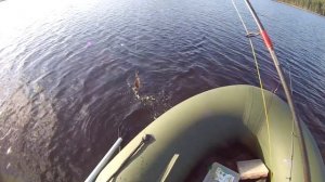 Рыбалка в Карелии 2016 Ловля окуня и щуки на спиннинг