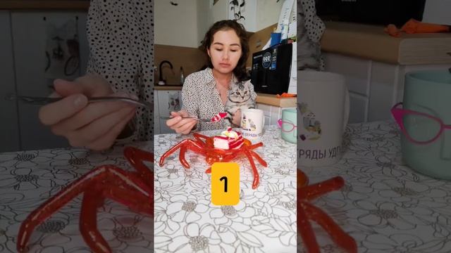 Как кормите своих гостей в ДР? #youtube #юмор #кошки #а4 #животные #cat #вайны #tiktok #топ #тренды