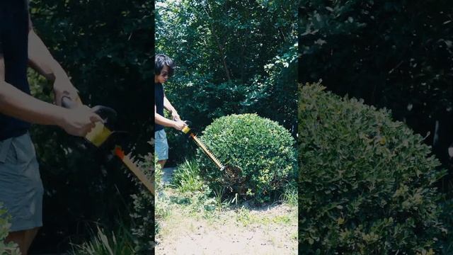 Trimming hedges like a pro has never been easier with the SEYVUM hedge trimmer.