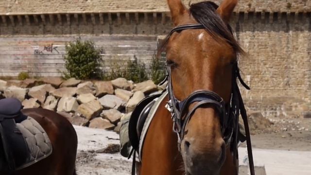 Panasonic Lumix GF3 смотреть онлайн