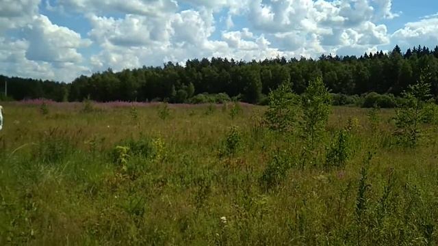 Московская обл, Дмитровский район, деревня Никулино - продажа участка 15 соток смотреть онлайн