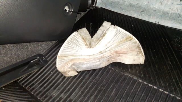 Nissan Tiida - como trocar o filtro de cabine. смотреть онлайн