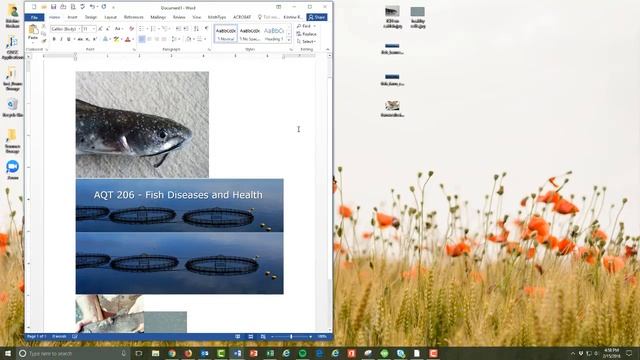Combining multiple image files into one смотреть онлайн