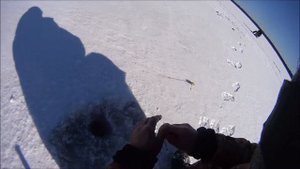 КИВОК для безмотылки из правильной бутылки.