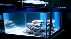 LED освещение аквариума
