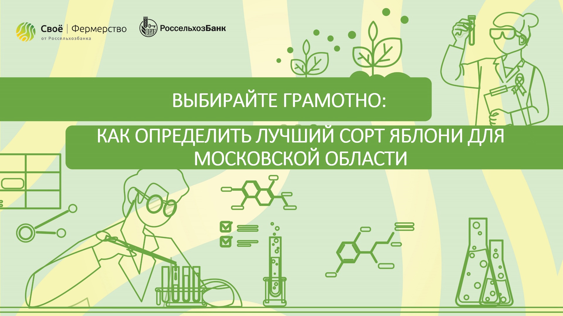 Выбирайте грамотно: как определить лучший сорт яблони для Московской области