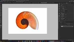 Инструмент перо в фотошопе. Основы построения контуров.