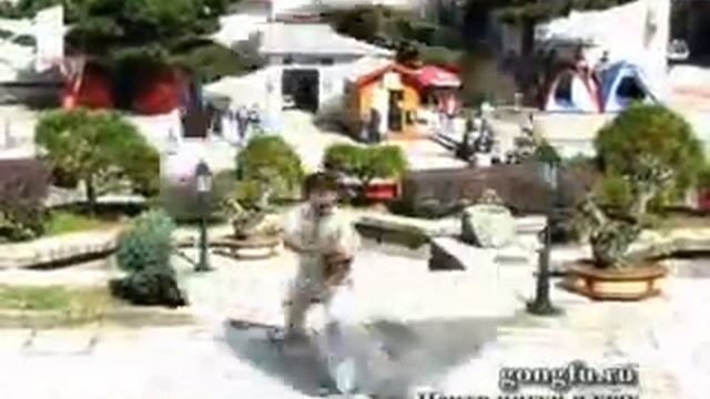 Тайцзи-цюань, Шень. Мастер Шень Чжи смотреть онлайн