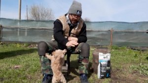 С чего надо начинать дрессировать щенка. Условное подкрепление в дрессировке собак.