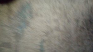 а я одна ребёнок