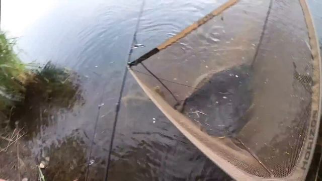 ? Карповые ПРИКЛЮЧЕНИЯ // ДИКИЙ карпфишинг в ГОРАХ // ? Карпы ЧУДОВИЩА, СЛЕЗЫ, БОЛЬ и РАДОСТЬ! ФИЛЬ смотреть онлайн